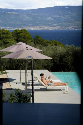 Luxusvilla Moana mit Olivenhain
